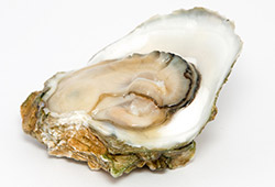 oysters-testosterone